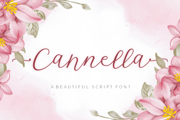 Cannella: Elegant Script Handwritten Font for Designers