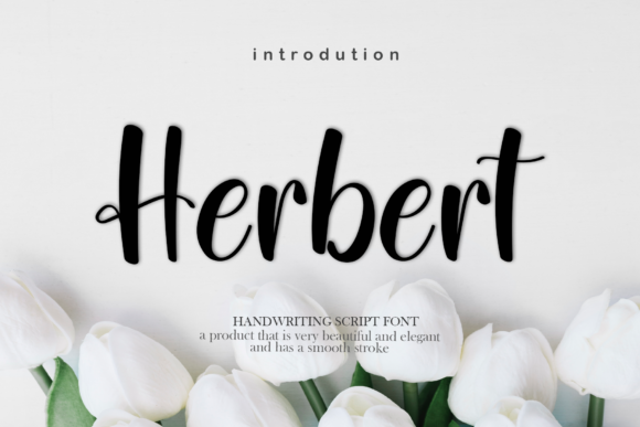 Herbert: A Sweet, Whimsical Script Font for Small Business Branding